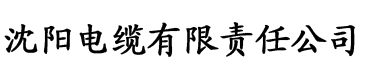 传奇影院电缆厂logo